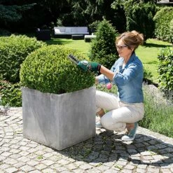 Bosch Isio 3.6V Cordless Shape And Edge Set -Greenworks Sale Shop bosch isio lifestyle