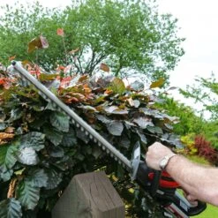 Cobra H5024V Li-Ion Cordless Hedge Trimmer (with 2Ah Battery & Charger) -Greenworks Sale Shop cobra h5024v hedge trimmer lifestyle 2 1