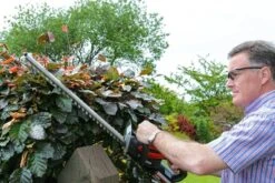 Cobra H5024V Li-Ion Cordless Hedge Trimmer (with 2Ah Battery & Charger) -Greenworks Sale Shop cobra h5024v hedgetrimmer lifestyle 1