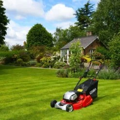 Cobra RM51SP80V 80V Self-Propelled Rear Roller Cordless Lawn Mower (with 2 X 40V 5Ah Batteries & 2 X Fast Chargers) (Bundle Builder) -Greenworks Sale Shop cobra rm43 51sp80v lifestyle 1 1