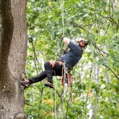 Echo DCS-2500TC 56 EFORCE Cordless Top Handle Chainsaw With Carving Bar (Bare Tool) -Greenworks Sale Shop echo dcs 2500t chainsaw lifestyle 3 1