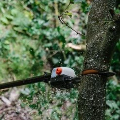 Echo PPT-2620HES Petrol Pole Pruner -Greenworks Sale Shop echo ppt 2620hes pole pruner lifestyle