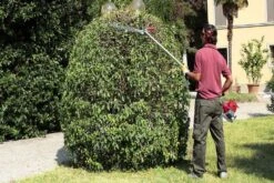 Oleo-Mac BC 241 HL Full Shaft Articulated Pole Hedge Trimmer -Greenworks Sale Shop efco ds2400h hedge trimmer in use 1 1