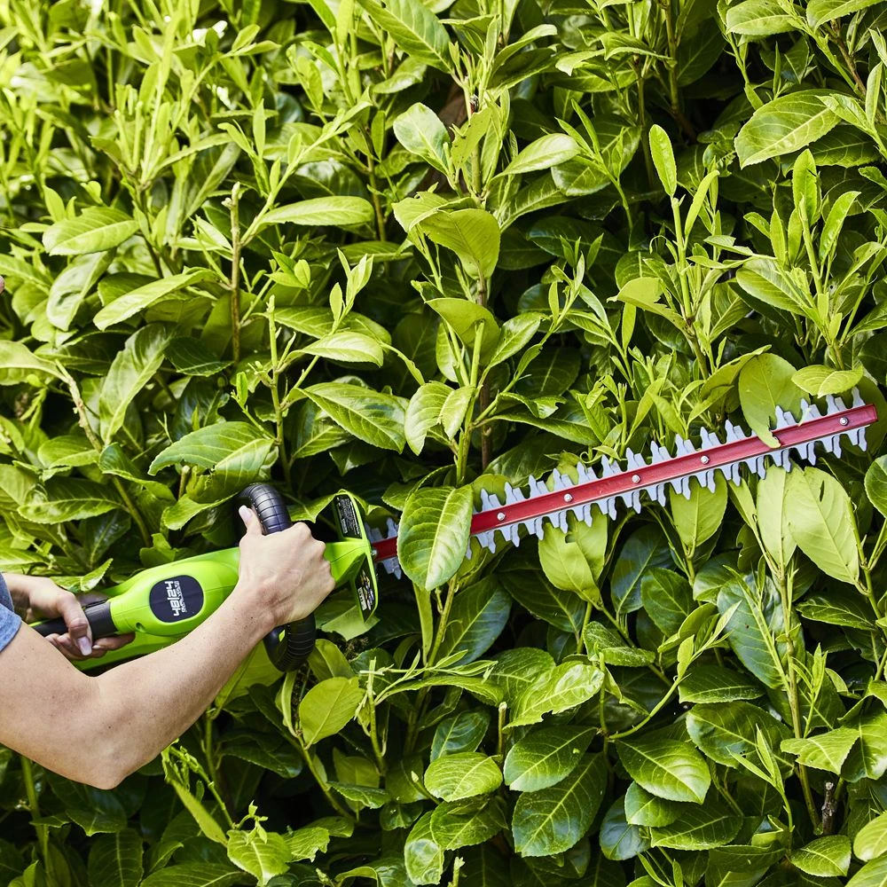 GreenWorks G24HT56K2 24V Cordless Hedge Trimmer (with 2Ah Battery & Charger) (Bundle Builder) 5 GreenWorks G24HT56K2 24V Cordless Hedge Trimmer (with 2Ah Battery & Charger) (Bundle Builder) - Image 5