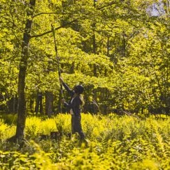 GreenWorks G24PS20 24V Cordless Pole Saw (Bare Tool) (Bundle Builder) -Greenworks Sale Shop greenworks g24ps20 4 2