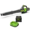 GreenWorks Pro GD60ABK4 60V Cordless Blower (with 4Ah Battery & Charger)