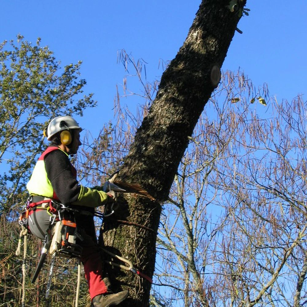 GTM Professional Conyfair Rattlewedge Splitter 5 GTM Professional Conyfair Rattlewedge Splitter - Image 5