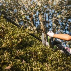 Q Garden QG500ERHT Electric Hedge Trimmer -Greenworks Sale Shop q garden qg500erht hedge trimmer lifestyle 3