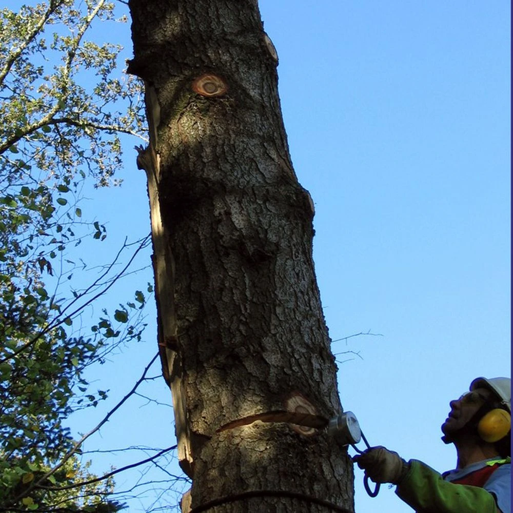 GTM Professional Conyfair Rattlewedge Splitter 6 GTM Professional Conyfair Rattlewedge Splitter - Image 6