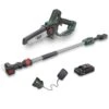 Webb Eco WEV20EXTPSB2 20V Cordless Mini Pruning Saw With Extension Pole (with 2Ah Battery & Charger)
