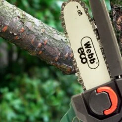Webb Eco WEV20EXTPSB2 20V Cordless Mini Pruning Saw With Extension Pole (with 2Ah Battery & Charger) -Greenworks Sale Shop webb eco wev20extpsb2 pole saw lifestyle bar and chain
